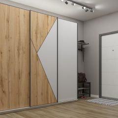 Шкаф-купе 2400 серии SOFT D2+D7+D3+B22+PL2 (по 2 ящика лев/прав+1штанга+1полка) профиль «Графит» в Александровском - alexsandrovskoe.mebel24.online | фото