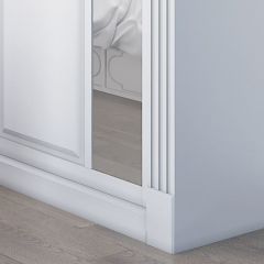 Шкаф-купе 2450 серии NEW CLASSIC K6Z+K1+K6+B22+PL2 (по 2 ящика лев/прав+1 штанга+1 полка) профиль «Капучино» в Александровском - alexsandrovskoe.mebel24.online | фото 5