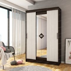 Шкаф - купе Агат в Александровском - alexsandrovskoe.mebel24.online | фото