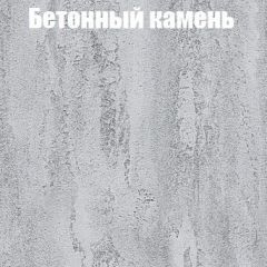 Шкаф-купе Бассо 1.0 (Дуб Крафт серый/Бетонный камень) 2 двери ЛДСП 2 зеркальные вставки в Александровском - alexsandrovskoe.mebel24.online | фото 3