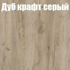 Шкаф-купе Бассо 1.0 (Дуб Крафт серый/Бетонный камень) 2 двери ЛДСП 2 зеркальные вставки в Александровском - alexsandrovskoe.mebel24.online | фото 4