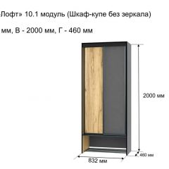 ОЛЬГА-ЛОФТ 10.1 Шкаф-купе без зеркала в Александровском - alexsandrovskoe.mebel24.online | фото 3
