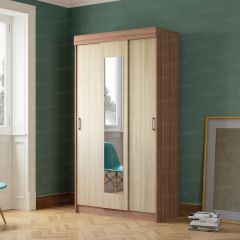 Шкаф-купе Эко (ЭРА) в Александровском - alexsandrovskoe.mebel24.online | фото 2