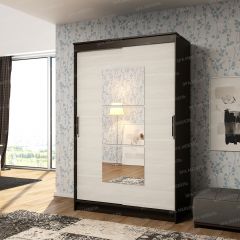 Шкаф - купе Элегант 1 в Александровском - alexsandrovskoe.mebel24.online | фото