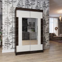 Шкаф - купе Элегант 2 в Александровском - alexsandrovskoe.mebel24.online | фото