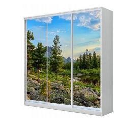 Шкаф-купе ХИТ 24-20/2-777 (620) в Александровском - alexsandrovskoe.mebel24.online | фото