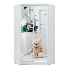Шкаф-купе ХИТ-У-23-4-77 в Александровском - alexsandrovskoe.mebel24.online | фото