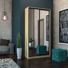 Шкаф-купе Лофт 1200 Шк12-60 (Дуб Сонома) в Александровском - alexsandrovskoe.mebel24.online | фото 10