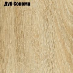 Шкаф-купе Лофт 2000 Шк20-60 (Дуб Сонома) в Александровском - alexsandrovskoe.mebel24.online | фото 4