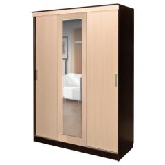 Шкаф-купе ПШ-1.3 М 1630 в Александровском - alexsandrovskoe.mebel24.online | фото