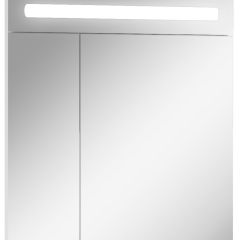 Шкаф-зеркало Аврора 65 с подсветкой LED Домино (DV8006HZ) в Александровском - alexsandrovskoe.mebel24.online | фото