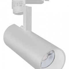 Светильник на штанге Escada 20029 20029TRA/01LED SWH в Александровском - alexsandrovskoe.mebel24.online | фото