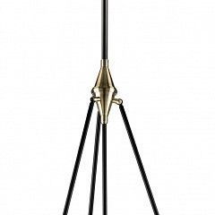 Светильник на штанге Lightstar Modena 816047 в Александровском - alexsandrovskoe.mebel24.online | фото
