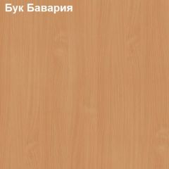 Тумба выкатная с дверкой Логика Л-12.3 в Александровском - alexsandrovskoe.mebel24.online | фото 2