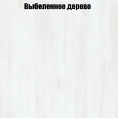 Вешалка V2 в Александровском - alexsandrovskoe.mebel24.online | фото 4