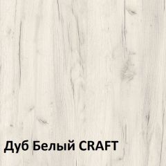 Юнона Шкаф торцевой 13.221 в Александровском - alexsandrovskoe.mebel24.online | фото 3