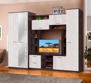 АЛЕКСАНДРА 10 Стенка в Александровском - alexsandrovskoe.mebel24.online | фото 1
