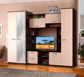АЛЕКСАНДРА 10 Стенка в Александровском - alexsandrovskoe.mebel24.online | фото 2