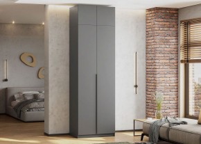Антресоль 800 «ШК-5» Графит серый в Александровском - alexsandrovskoe.mebel24.online | фото 4
