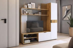БЕРИ К1 Гостиная в Александровском - alexsandrovskoe.mebel24.online | фото