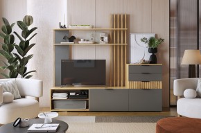 БЕРИ К3 Гостиная в Александровском - alexsandrovskoe.mebel24.online | фото 2