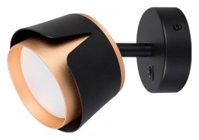 Бра Arte Lamp Amaks A8028AP-1BK в Александровском - alexsandrovskoe.mebel24.online | фото