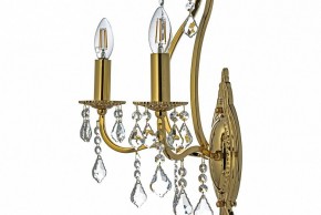 Бра Arti Lampadari Ercolano Ercolano E 2.1.2.602 G в Александровском - alexsandrovskoe.mebel24.online | фото 6