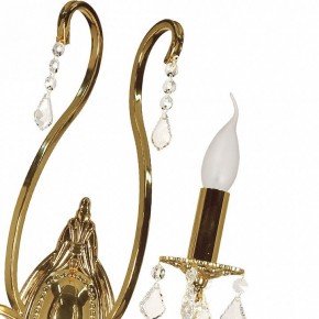 Бра Arti Lampadari Ercolano Ercolano E 2.1.2.602 G в Александровском - alexsandrovskoe.mebel24.online | фото 8