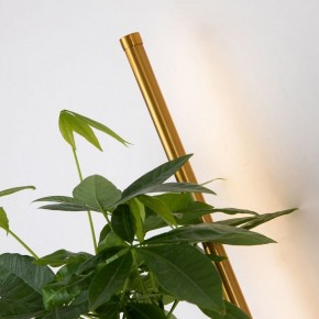 Бра Favourite Greenery 4050-1W в Александровском - alexsandrovskoe.mebel24.online | фото 10