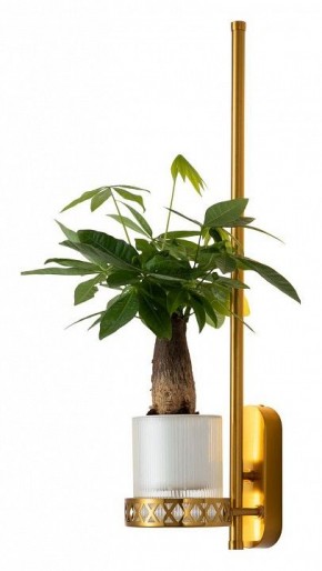Бра Favourite Greenery 4050-1W в Александровском - alexsandrovskoe.mebel24.online | фото 3