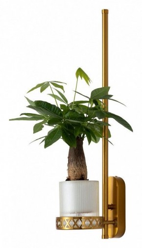 Бра Favourite Greenery 4050-1W в Александровском - alexsandrovskoe.mebel24.online | фото 4
