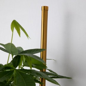 Бра Favourite Greenery 4050-2W в Александровском - alexsandrovskoe.mebel24.online | фото 8