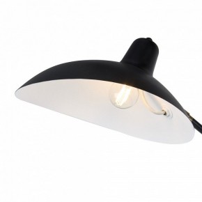 Бра Freya Twisty FR5383WL-01B в Александровском - alexsandrovskoe.mebel24.online | фото 7