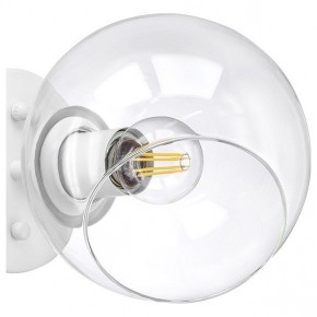 Бра Lightstar Beta 785616 в Александровском - alexsandrovskoe.mebel24.online | фото 5