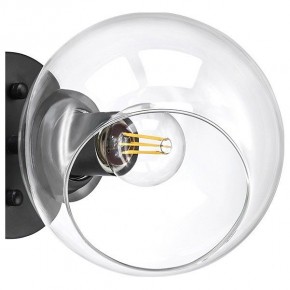 Бра Lightstar Beta 785617 в Александровском - alexsandrovskoe.mebel24.online | фото 4