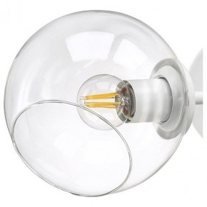 Бра Lightstar Beta 785626 в Александровском - alexsandrovskoe.mebel24.online | фото 4