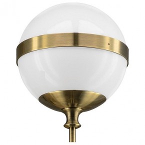 Бра Lightstar Globo 813611 в Александровском - alexsandrovskoe.mebel24.online | фото 3