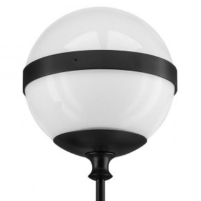 Бра Lightstar Globo 813617 в Александровском - alexsandrovskoe.mebel24.online | фото 3