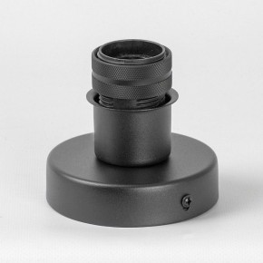 Бра Lussole Carter LSP-8862 в Александровском - alexsandrovskoe.mebel24.online | фото 4