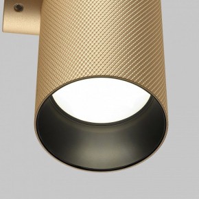 Бра Maytoni Artisan C080WL-02-GU10-MG в Александровском - alexsandrovskoe.mebel24.online | фото 6