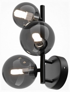 Бра Maytoni Dallas MOD545WL-03B в Александровском - alexsandrovskoe.mebel24.online | фото 2