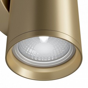 Бра Maytoni Focus S C068WL-02MG в Александровском - alexsandrovskoe.mebel24.online | фото 4