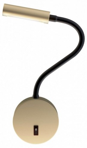 Бра Maytoni Stem C035WL-L3MG3K в Александровском - alexsandrovskoe.mebel24.online | фото