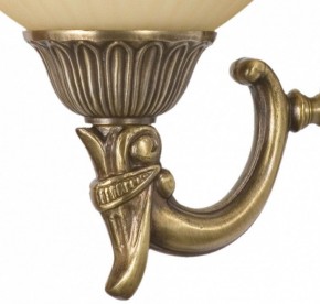 Бра MW-Light Афродита 1 317020101 в Александровском - alexsandrovskoe.mebel24.online | фото