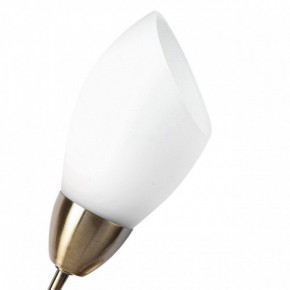 Бра MW-Light Нежность 7 356023001 в Александровском - alexsandrovskoe.mebel24.online | фото 2
