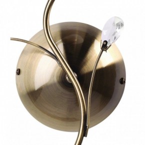 Бра MW-Light Нежность 7 356023001 в Александровском - alexsandrovskoe.mebel24.online | фото 3