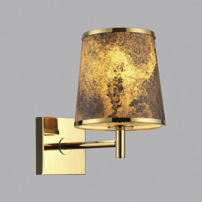 Бра Odeon Light Bergi 5064/1W в Александровском - alexsandrovskoe.mebel24.online | фото 5
