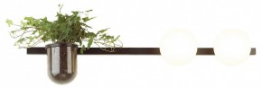 Бра Odeon Light Flower 4681/2W в Александровском - alexsandrovskoe.mebel24.online | фото 3