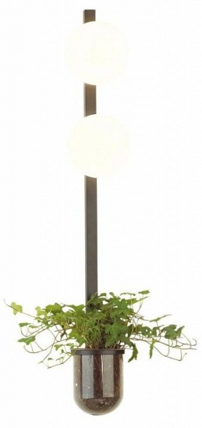 Бра Odeon Light Flower 4681/2WA в Александровском - alexsandrovskoe.mebel24.online | фото 3