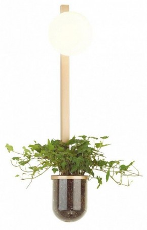 Бра Odeon Light Flower 4682/1WB в Александровском - alexsandrovskoe.mebel24.online | фото 3